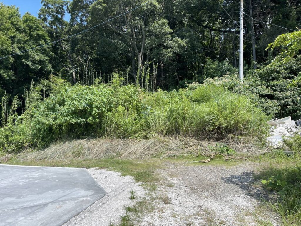 藤沢市 山林 293㎡